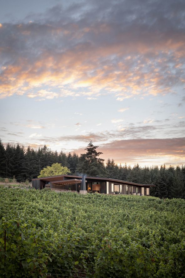 Big Fir Vineyard Natural Modern House - Dundee, OR, USA