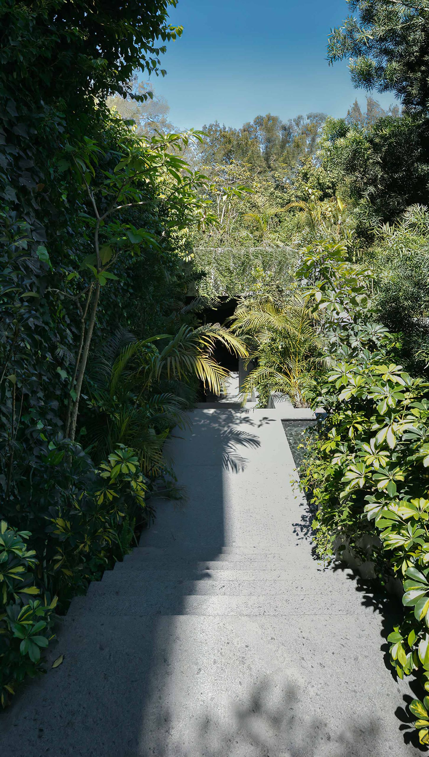 Casa Pirul Modern Contemporary Restructured House – Mexico City, Mexico