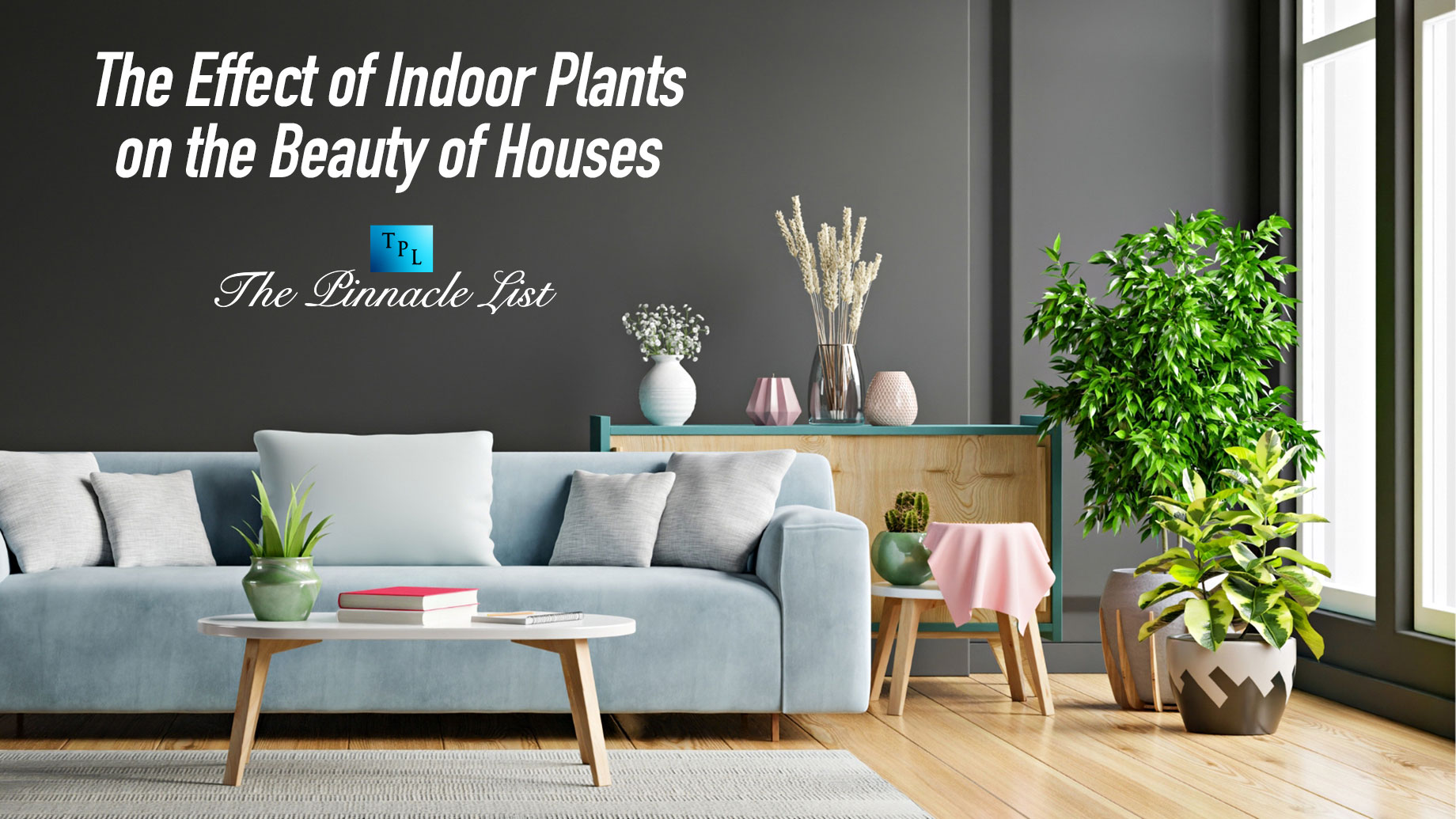 The Effect of Indoor Plants on the Beauty of Houses