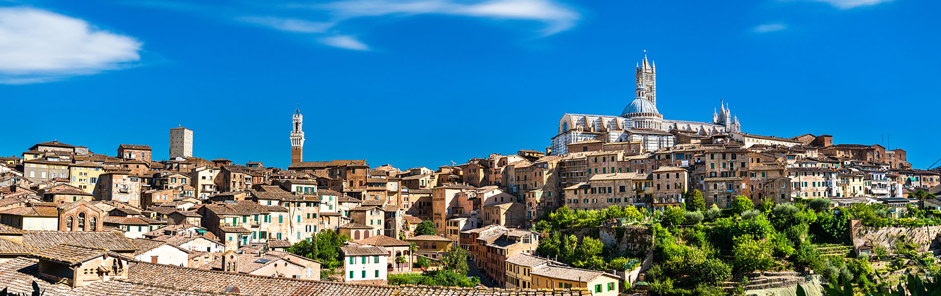 Panorama View of Siena, Tuscany, Italy