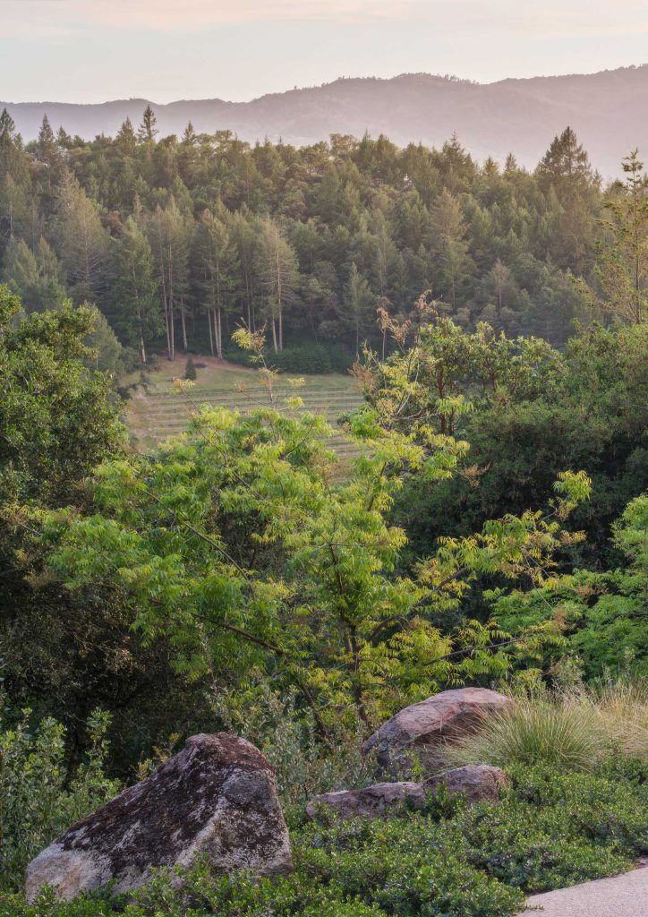 Bidendum Contemporary Pavilion Residence - Rock Rd, St Helena, CA, USA - 3