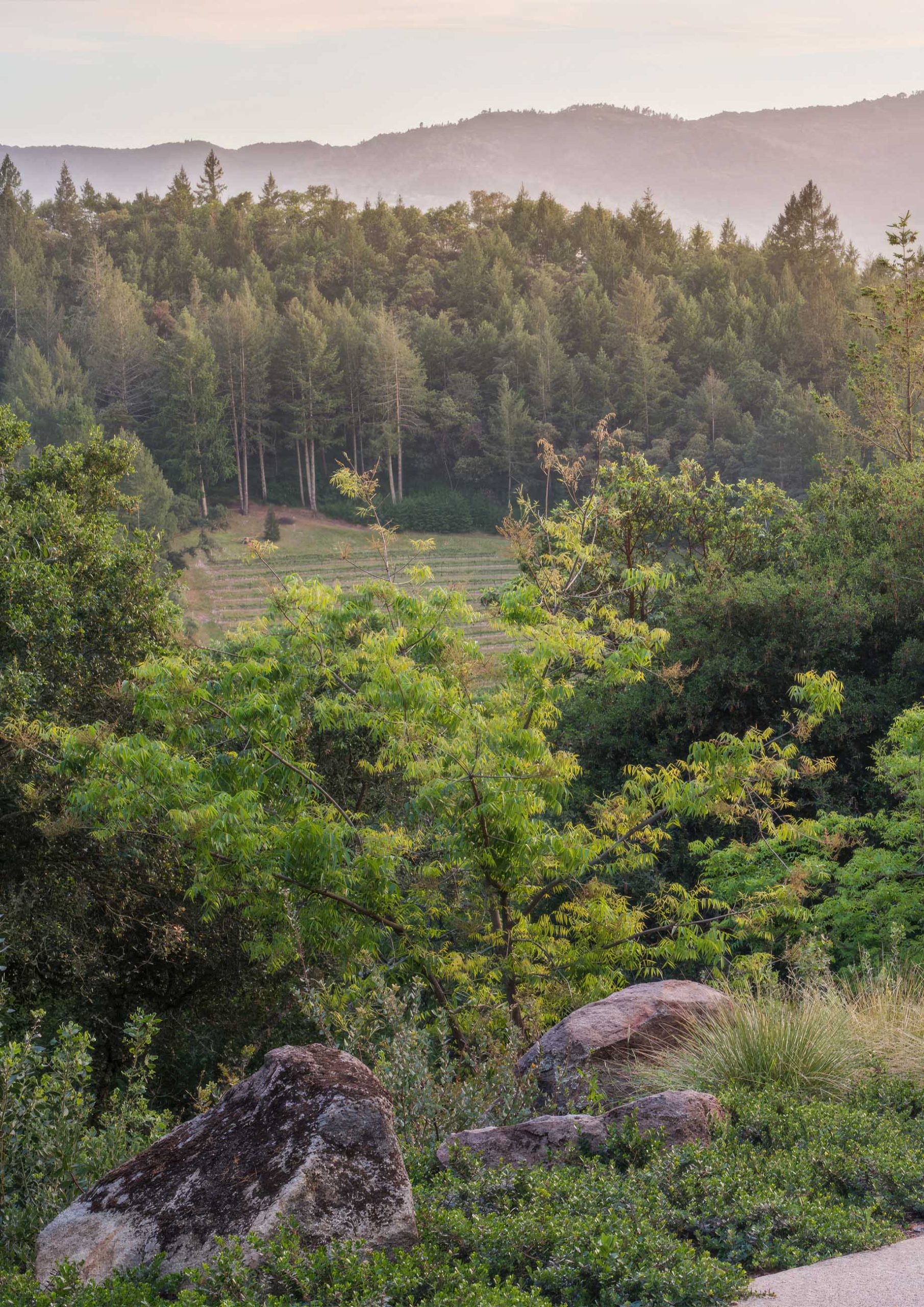 Bidendum Contemporary Pavilion Residence – Rock Rd, St Helena, CA, USA – 3