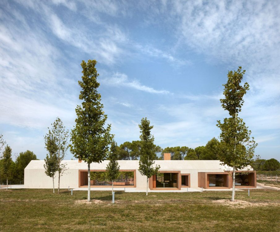 Modern Luxury Retreat Cottage in the Vineyard - Fontanars dels Alforins, Spain - 31