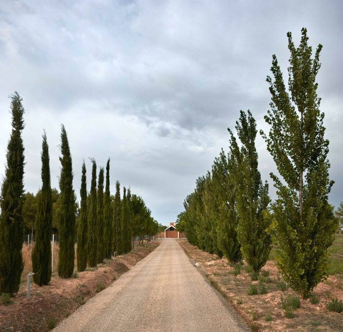 Modern Luxury Retreat Cottage in the Vineyard - Fontanars dels Alforins, Spain - 6