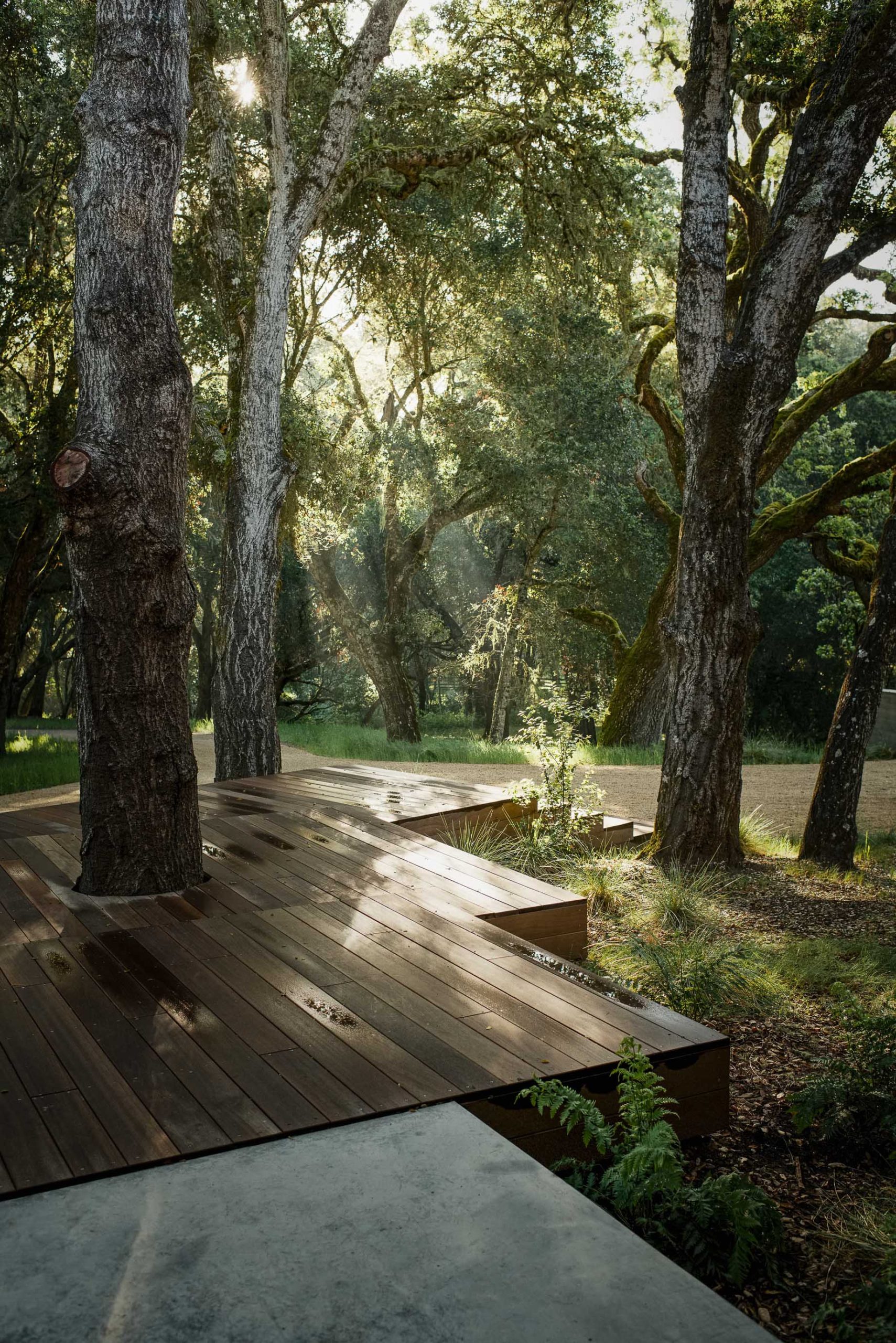 Santa Lucia Preserve Contemporary Residence – 8 Arroyo Sequoia, Carmel, CA, USA – 52