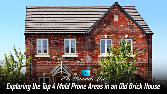 Exploring the Top 4 Mold Prone Areas in an Old Brick House