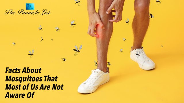 Facts About Mosquitoes That Most of Us Are Not Aware Of