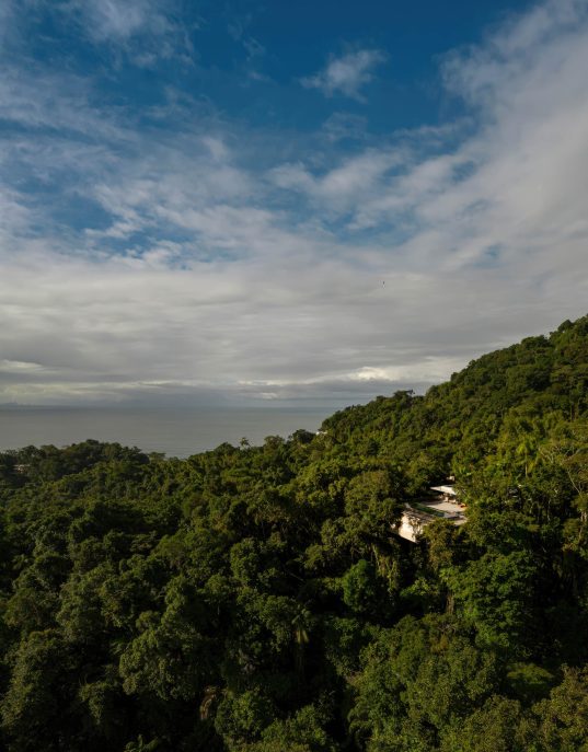 Canopy House in the Trees - Prainha Branca, Guaruja, Sao Paulo, Brazil - 2