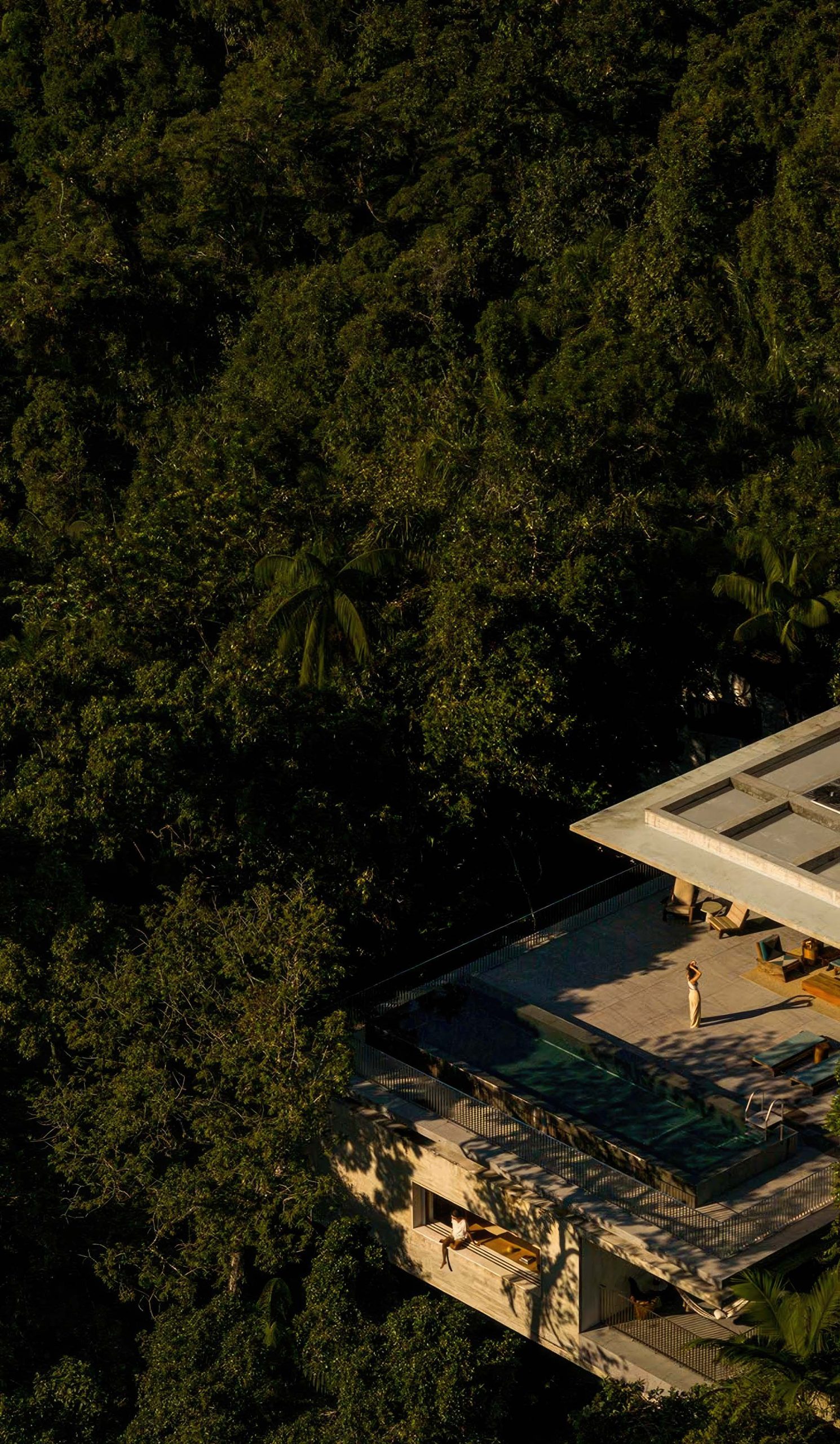 Canopy House in the Trees – Prainha Branca, Guaruja, Sao Paulo, Brazil – 3