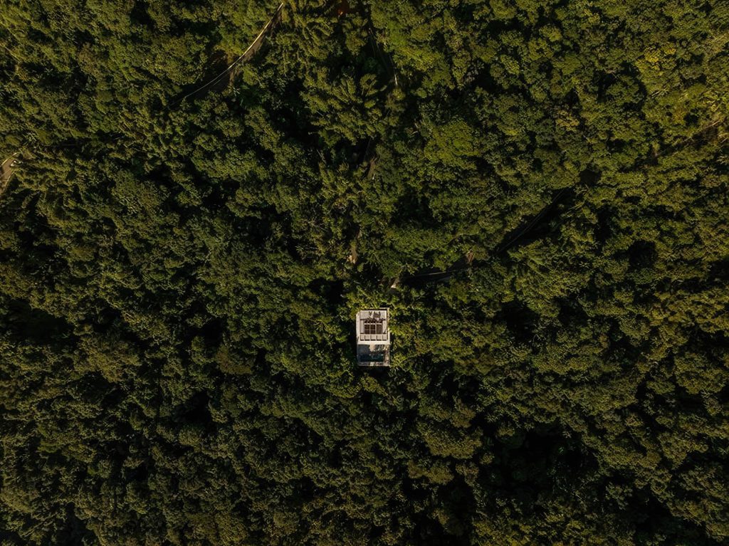 Canopy House in the Trees - Prainha Branca, Guaruja, Sao Paulo, Brazil - 31