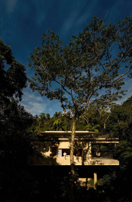 Canopy House in the Trees - Prainha Branca, Guaruja, Sao Paulo, Brazil - 4
