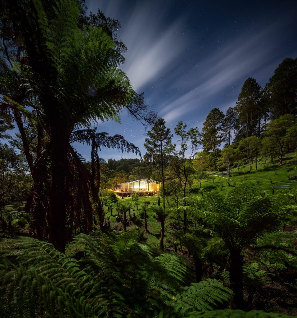 Casa Mororo House - Campos do Jordao, Sao Paulo, Brazil - 38