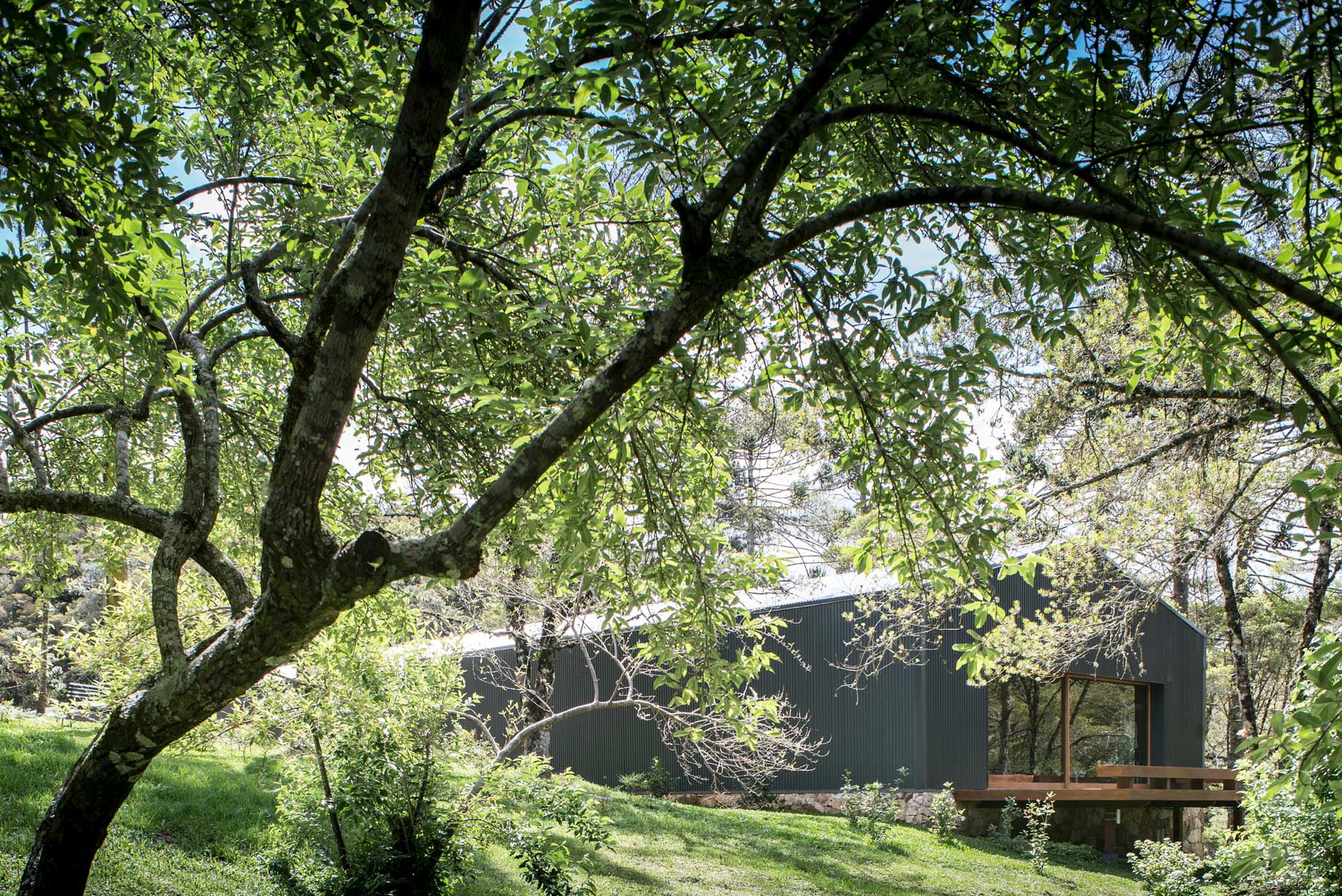 Casa Mororo House – Campos do Jordao, Sao Paulo, Brazil – 9