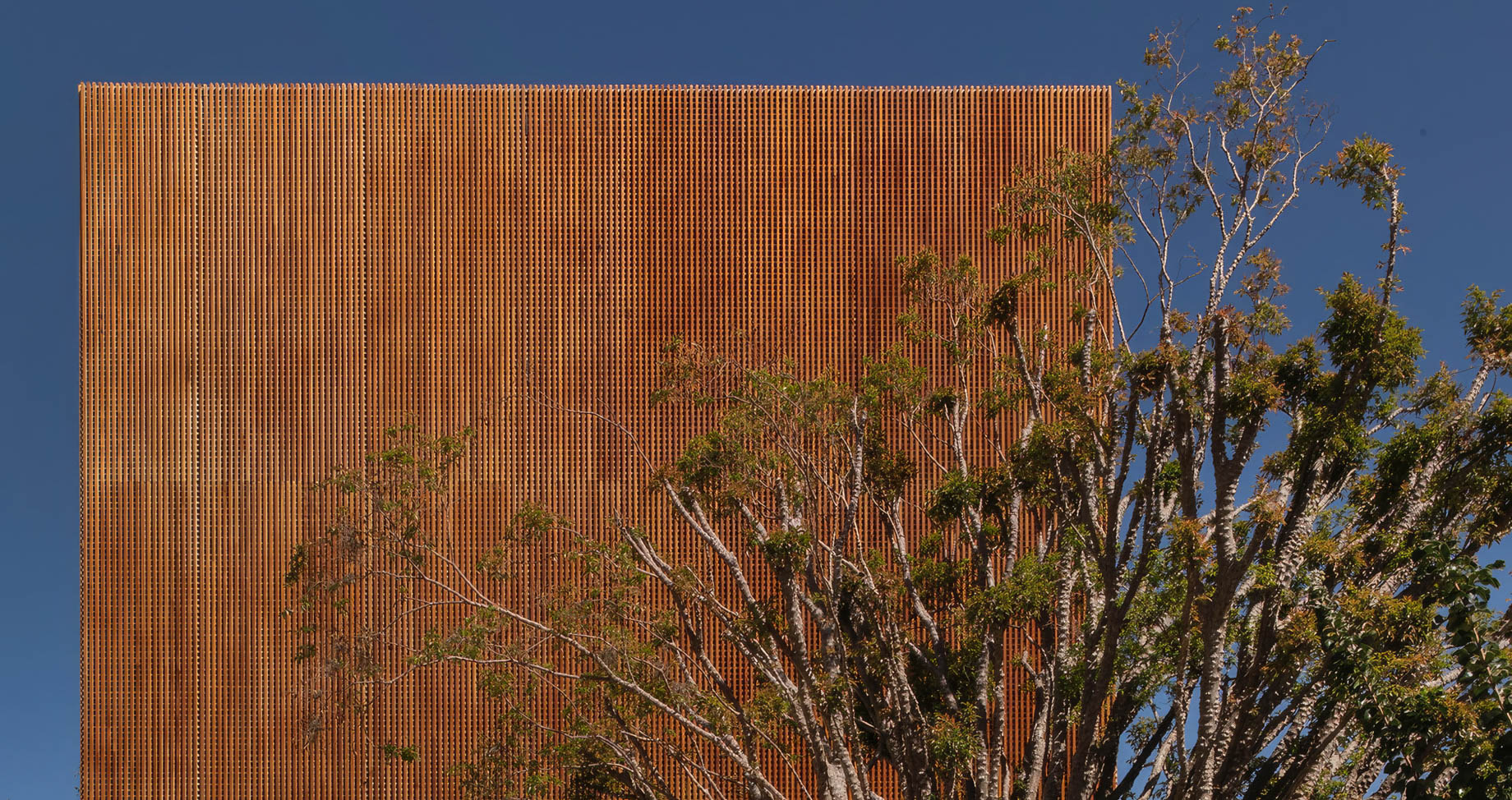 Casa das Jabuticabeiras House – Franca, Sao Paulo, Brazil – 4