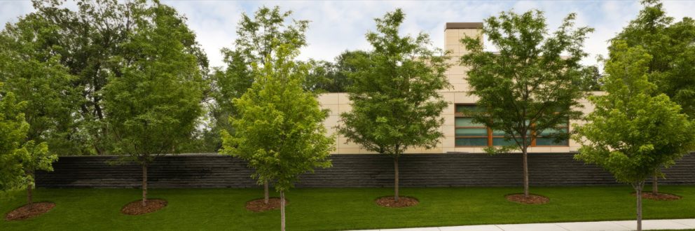 City Lake Residence - Sheridan Ave S, Minneapolis, MN, USA - 30
