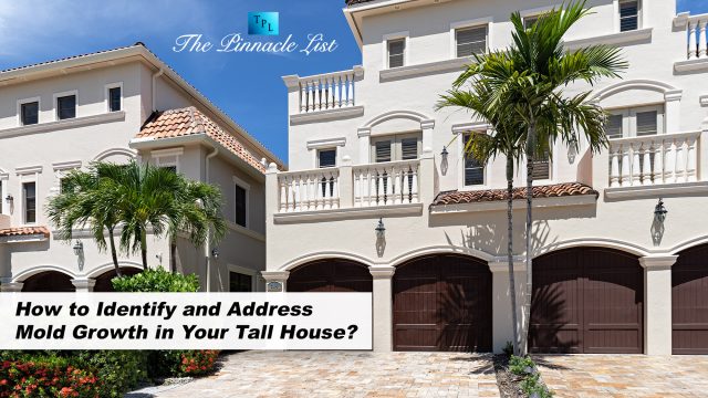 How to Identify and Address Mold Growth in Your Tall House?