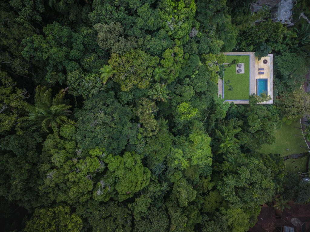 Jungle House - Guaruja, Sao Paulo, Brazil - 2