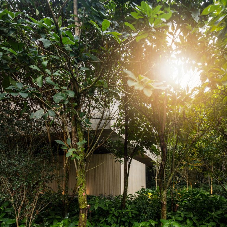Jungle House – Guaruja, Sao Paulo, Brazil – 30