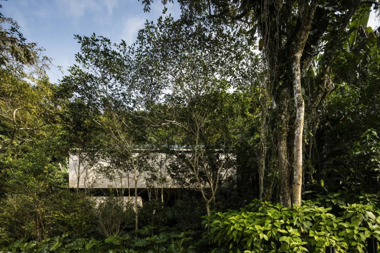 Jungle House - Guaruja, Sao Paulo, Brazil - 5