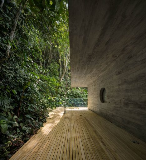 Jungle House - Guaruja, Sao Paulo, Brazil - 6