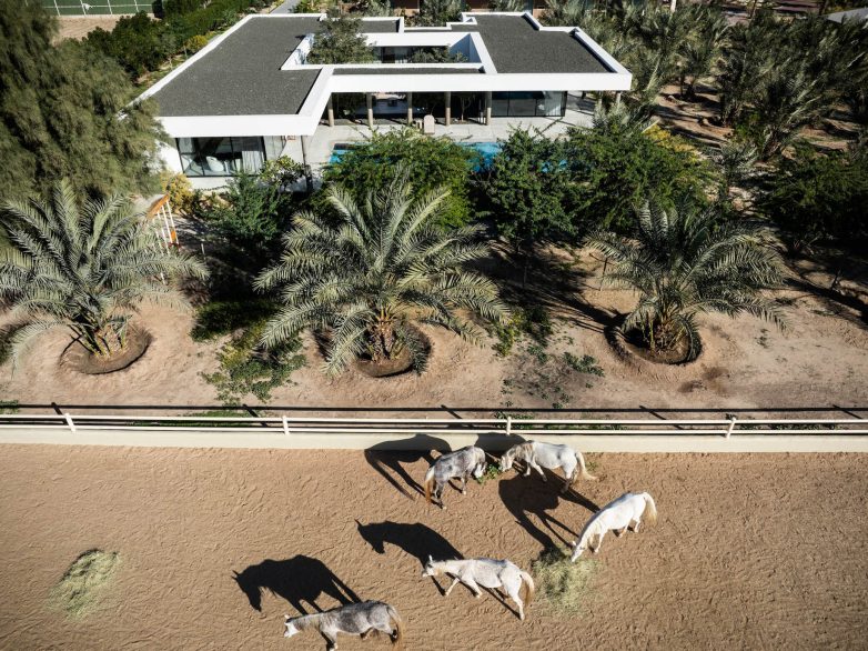 Zen Courtyard Villa - Al Wafrah, Kuwait - 3