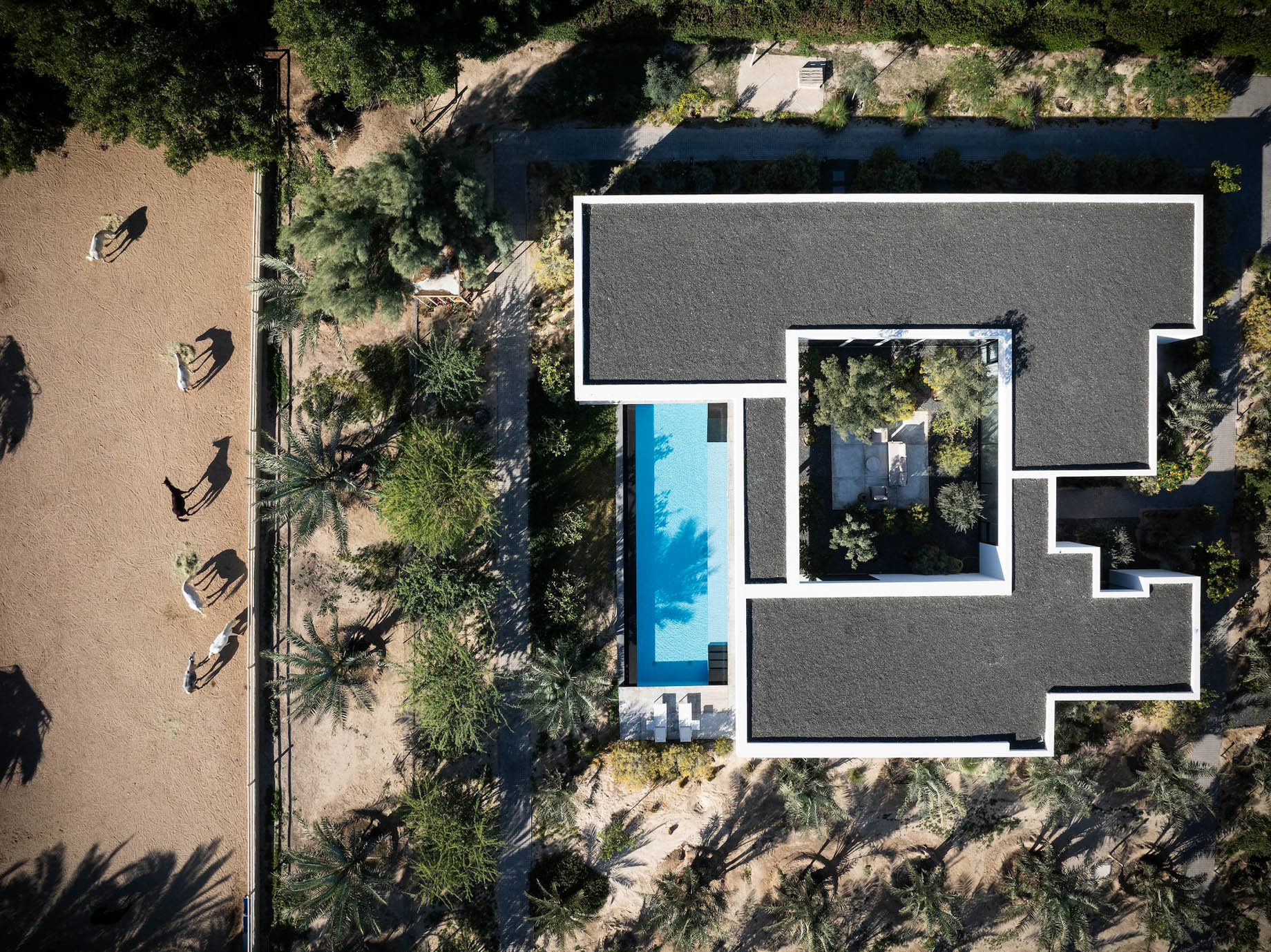 Zen Courtyard Villa – Al Wafrah, Kuwait – 4