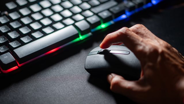 Computer Mouse