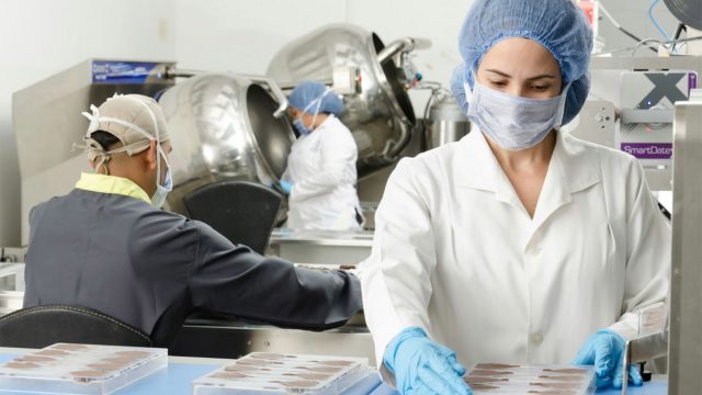 Cord Blood Bank