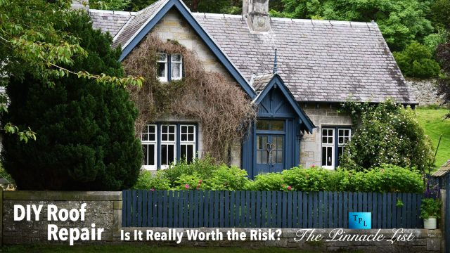DIY Roof Repair: Is It Really Worth the Risk?