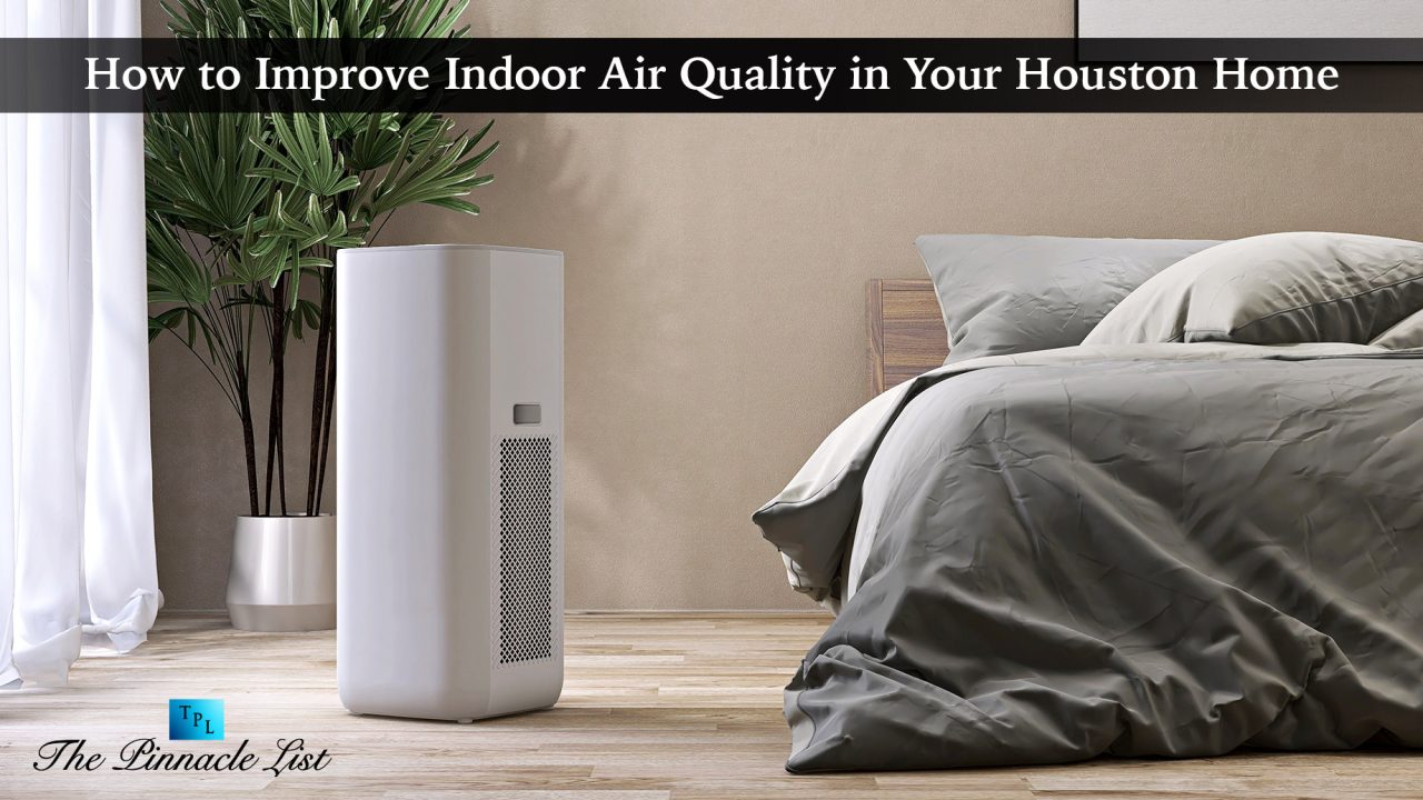 View of How to improve indoor air quality in apartments and small spaces - NBC News