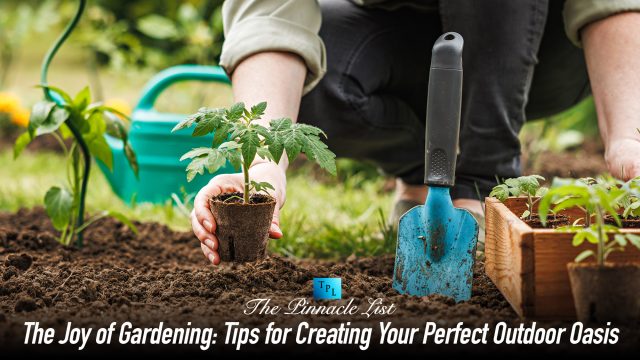 The Joy of Gardening: Tips for Creating Your Perfect Outdoor Oasis