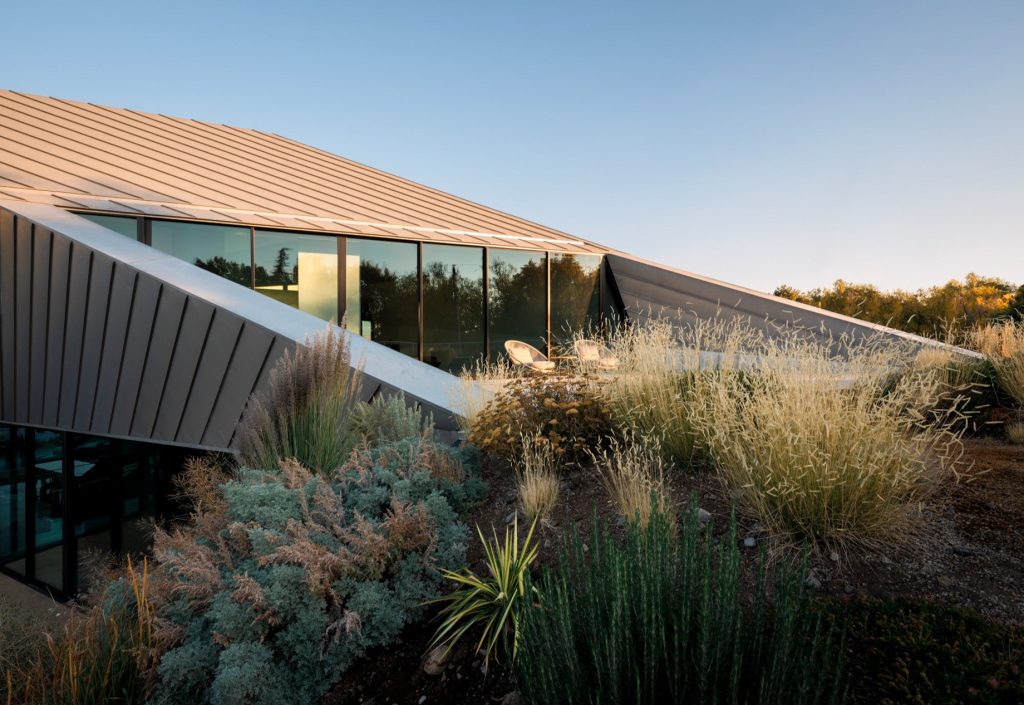 The Shapeshifter House - Marsh Ave, Reno, NV, USA - 26