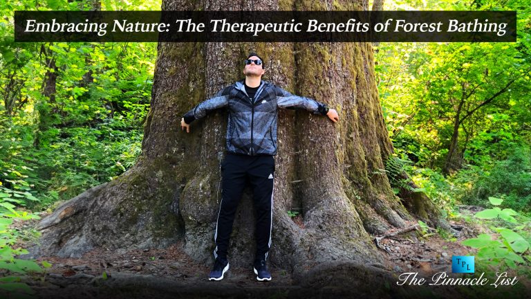 Embracing Nature: The Therapeutic Benefits of Forest Bathing – The ...