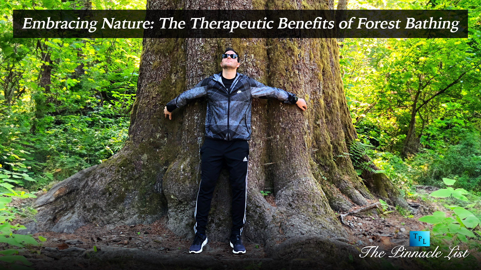 Embracing Nature: The Therapeutic Benefits of Forest Bathing
