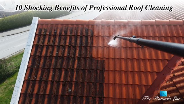 10 Shocking Benefits of Professional Roof Cleaning
