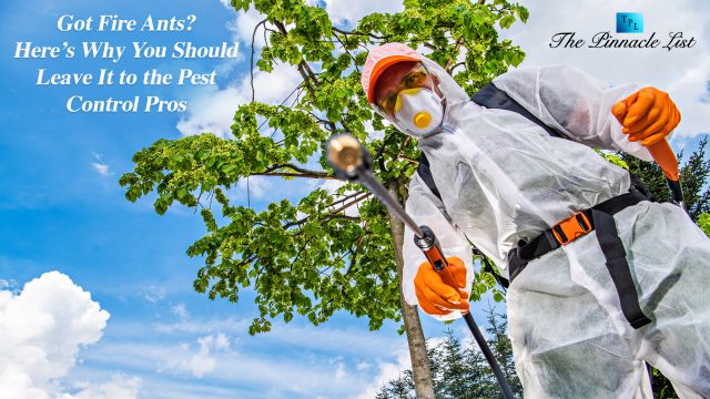 Got Fire Ants? Here’s Why You Should Leave It to the Pest Control Pros
