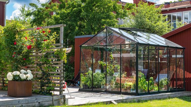 Greenhouse