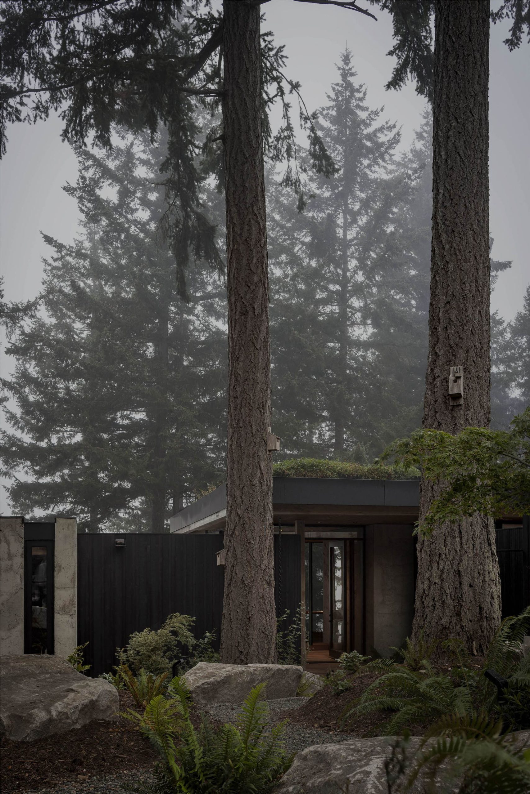Longbranch Residence – Case Inlet, Puget Sound, WA, USA – 39