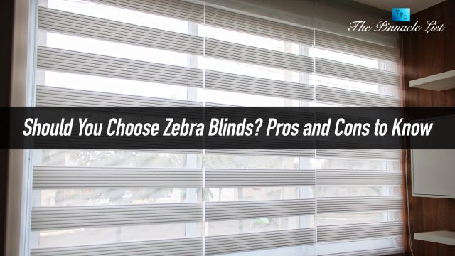 Should You Choose Zebra Blinds? Pros and Cons to Know