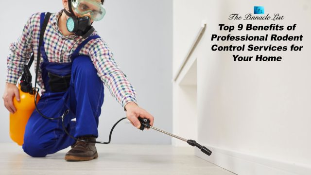 Top 9 Benefits of Professional Rodent Control Services for Your Home