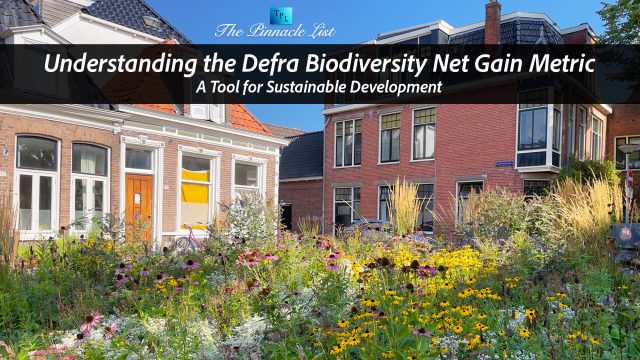 Understanding the Defra Biodiversity Net Gain Metric: A Tool for Sustainable Development