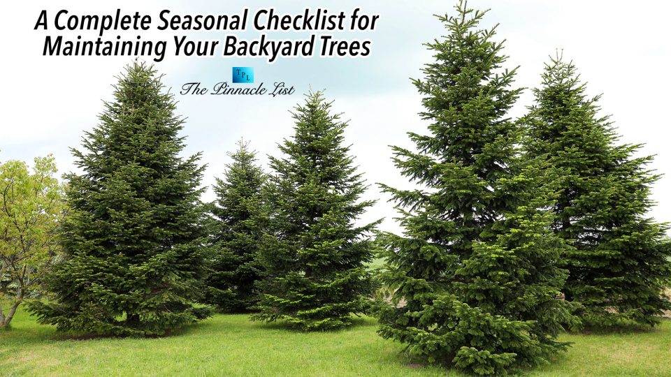 A Complete Seasonal Checklist for Maintaining Your Backyard Trees – The ...