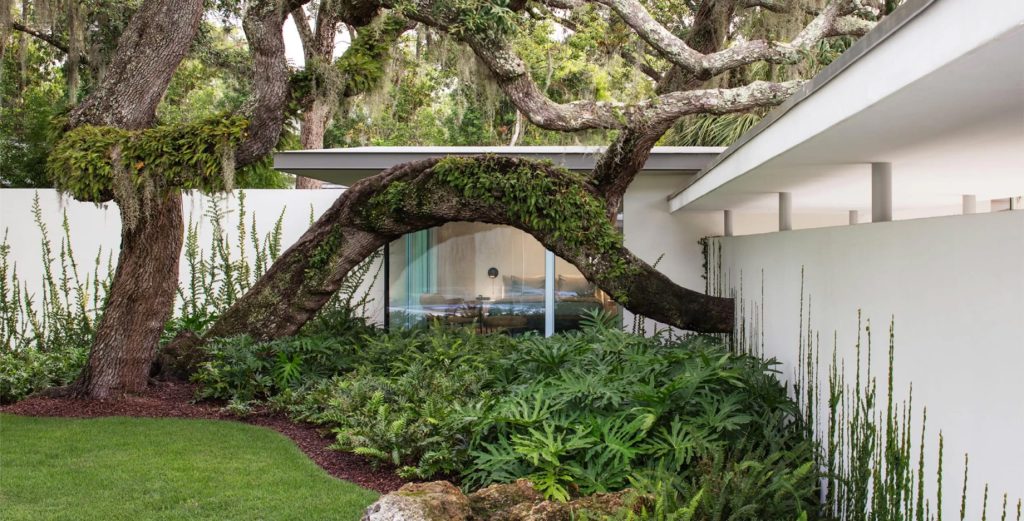 Lake Maitland Modern House - Via Lugano, Winter Park, FL, USA - 3