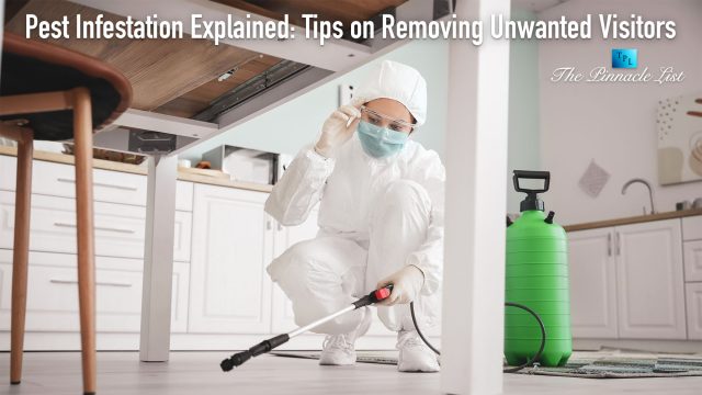 Pest Infestation Explained: Tips on Removing Unwanted Visitors