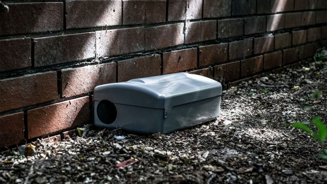 Rodent Trap