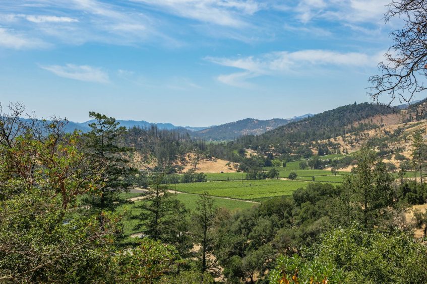 Ryan Seacrest Napa Valley Home - 232 N Fork Crystal Springs Rd, Saint Helena, CA, USA - 13