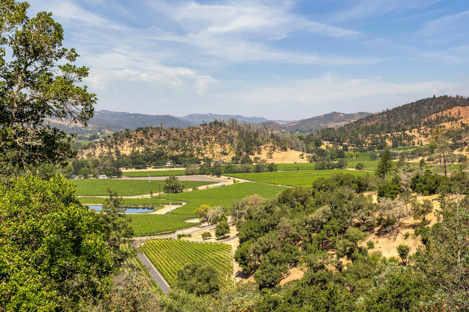 Ryan Seacrest Napa Valley Home – 232 N Fork Crystal Springs Rd, Saint Helena, CA, USA – 40