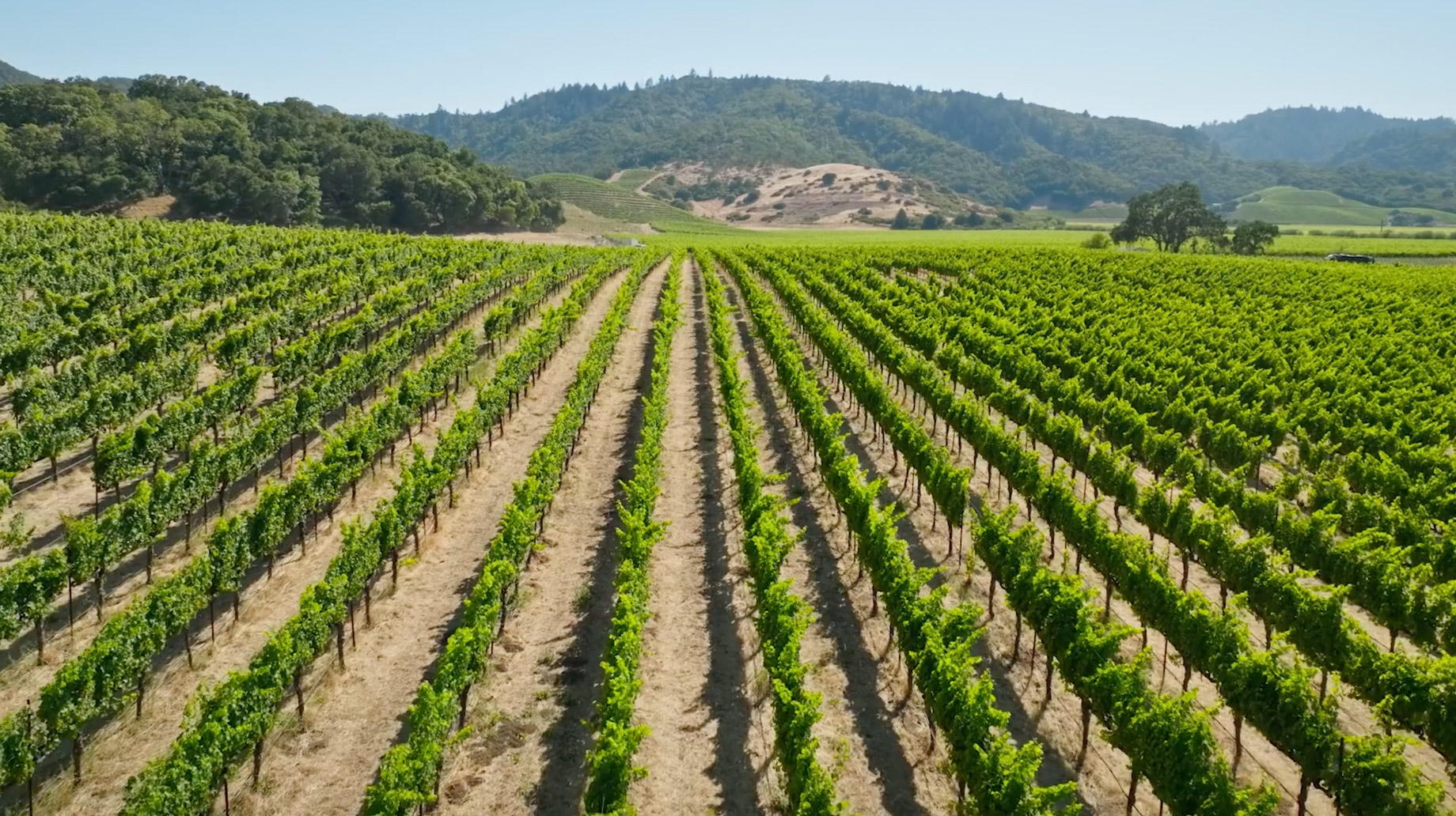 Ryan Seacrest Napa Valley Home – 232 N Fork Crystal Springs Rd, Saint Helena, CA, USA – 89