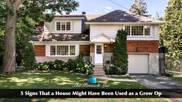 5 Signs That a House Might Have Been Used as a Grow Op