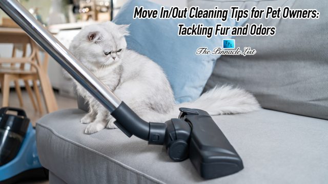 Move In/Out Cleaning Tips for Pet Owners: Tackling Fur and Odors